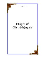 Chuyên đề: Gía trị thặng dư doc