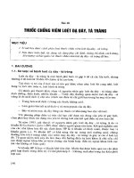 Viêm loét dạ dày, tá tràng và cách phòng chống pot