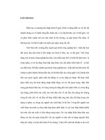 Tồn khô trong nước và việc hạn chế nhập hàng từ nước ngoài các sản phẩm phôi công nghiệp pot