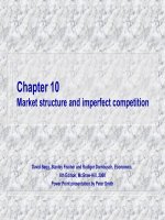Chương 10 Cơ cấu thị trường và cạnh tranh không hoàn hảo pdf