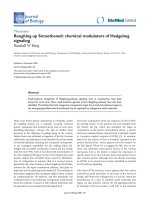 Báo cáo sinh học: 