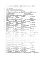 ÔN LUYỆN THI TỐT NGHIỆP THPT NĂM 2011 – ĐỀ 008 doc