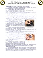 Giáo trình phân tích ứng dụng nguyên lý cảm thụ truyền nhận kích thích thần kinh thực vật p1 doc