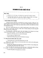 Các chất vô cơ, vitamin potx