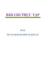 Đề tài: ÔN TẬP QUAN HỆ KINH TẾ QUỐC TẾ ppt