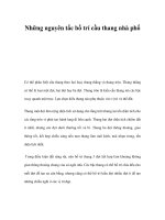 Những nguyên tắc bố trí cầu thang nhà phố pot