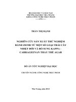 nghiên cứu sản xuất thử nghiệm bánh zefir từ một số loại trái cây nhiệt đới và bổ sung carrageenan thay thế agar