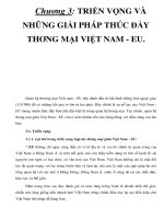Chương 3: TRIỂN VỌNG VÀ NHỮNG GIẢI PHÁP THÚC ĐẨY THƠNG MẠI VIỆT NAM - EU_P1 pdf