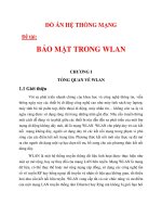 ĐỒ ÁN HỆ THỐNG MẠNG BẢO MẬT TRONG WLAN chương 1_1 docx