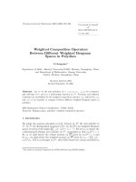 Báo cáo toán học: 