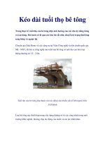 Kéo dài tuổi thọ bê tông pptx