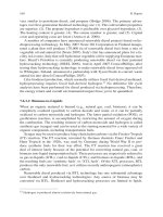 Biofuels, Solar and Wind as Renewable Energy Systems_Benefits and Risks Episode 1 Part 8 pdf