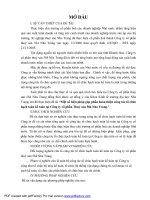 một số biện pháp góp phần hoàn thiện công tác tổ chức hạch toán kế toán tại công ty cổ phần thuỷ sản 584 nha trang