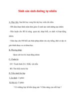 Giáo án Sinh học lớp 6 : Tên bài dạy : Sinh sản sinh dưỡng tự nhiên doc