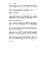 Thiết kế bài giảng tiếng anh 9 tập 2 part 8 pps