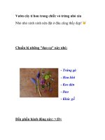 Vườn cây tí hon trong chiếc vỏ trứng nhỏ xíu ppsx