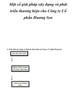 Một số giải pháp xây dựng và phát triển thương hiệu cho Công ty Cổ phần Hương Sen _3 pot
