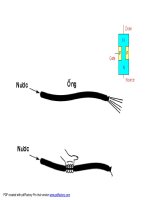 Cấu kiện điện tử - Chương 6 (tiếp theo ) potx