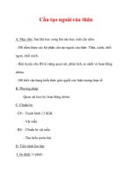 Giáo án Sinh học lớp 6 : Tên bài dạy : Cấu tạo ngoài của thân doc