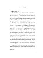 Tổ chức công tác bán hàng, kế toán bán hàng và xác định kết quả sản xuất kinh doanh tại công ty TNHH POONGCHIN VINA