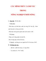 Giáo án ĐỊa lý lớp 7 : Tên bài dạy : CÁC HÌNH THỨC CANH TÁC TRONG NÔNG NGHIỆP Ở ĐỚI NÓNG pps