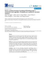 Báo cáo sinh học: 