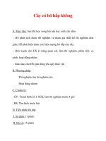 Giáo án Sinh học lớp 6 : Tên bài dạy : Cây có hô hấp không ppt