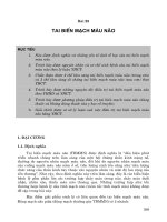 Bệnh não - Tai biến mạch máu não pps