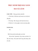 Giáo án Công nghệ lớp 6 : Tên bài dạy : THỰC HÀNH TRỘN DẦU GIẤM RAU XÀ LÁCH pdf