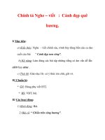 Giáo án Tiếng Việt lớp 3 : Tên bài dạy : Chính tả Nghe – viết : Cảnh đẹp quê hương. ppt