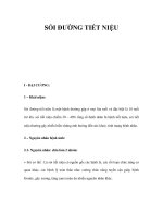 SỎI ĐƯỜNG TIẾT NIỆU ppt