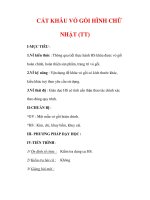 Giáo án Công nghệ lớp 6 : Tên bài dạy : CẮT KHÂU VỎ GỐI HÌNH CHỮ NHẬT (TT) pptx