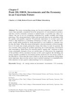 Biofuels, Solar and Wind as Renewable Energy Systems_Benefits and Risks Episode 1 Part 6 potx