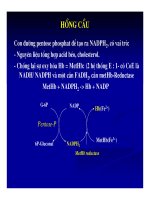 Bài giảng sinh hóa - Máu và dịch não part 8 pdf