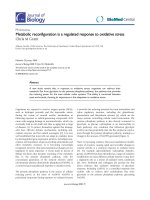 Báo cáo sinh học: 