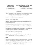 Quyết định số 716/QĐHC-CTUBND ppt