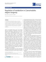 Báo cáo sinh học: 