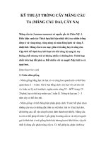 KỸ THUẬT TRỒNG CÂY MÃNG CẦU TA (MÃNG CẦU DAI, CÂY NA) pot