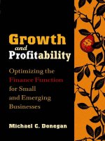GROWTH AND PROFITABILITYOptimizing the Finance Function for Small and Emerging Businesses phần 1 potx