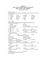 ĐỀ LUYỆN THI THỬ ĐẠI HỌC NĂM 2011 MÔN : TIẾNG ANH – ĐỀ SỐ 25 pdf