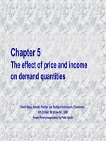 Chương 5 Ảnh hưởng của giá cả và thu nhập về số lượng nhu cầu pptx