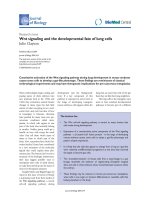 Báo cáo sinh học: 