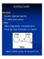 Bài giảng chuyển hóa các chất- Hóa học Glucid part 3 pdf