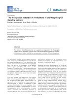 Báo cáo sinh học: 