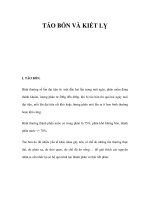 TÁO BÓN VÀ KIẾT LỴ pptx