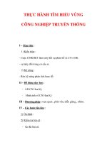 Giáo án ĐỊa lý lớp 7 : Tên bài dạy : THỰC HÀNH TÌM HIỂU VÙNG CÔNG NGHIỆP TRUYỀN THỐNG ppsx