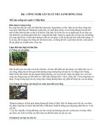 CÔNG NGHỆ SẢN XUẤT TRÀ XANH ĐÓNG CHAI pdf