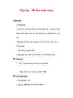 Giáo án Tiếng Việt lớp 3 : Tên bài dạy : Tập đọc Mè hoa lượn sóng. ppt