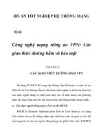 Công nghệ mạng riêng ảo VPN: Các giao thức đường hầm và bảo mật chương 2_2 docx