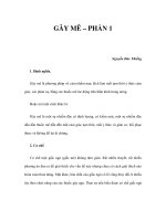 GÂY MÊ – PHẦN 1 doc